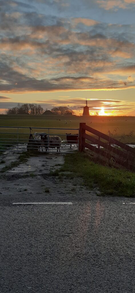 Fotografie Lyan Schilder