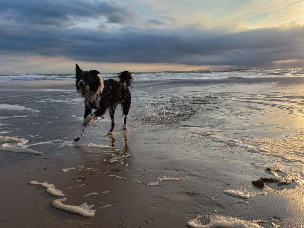 Fotografie Lyan Schilder