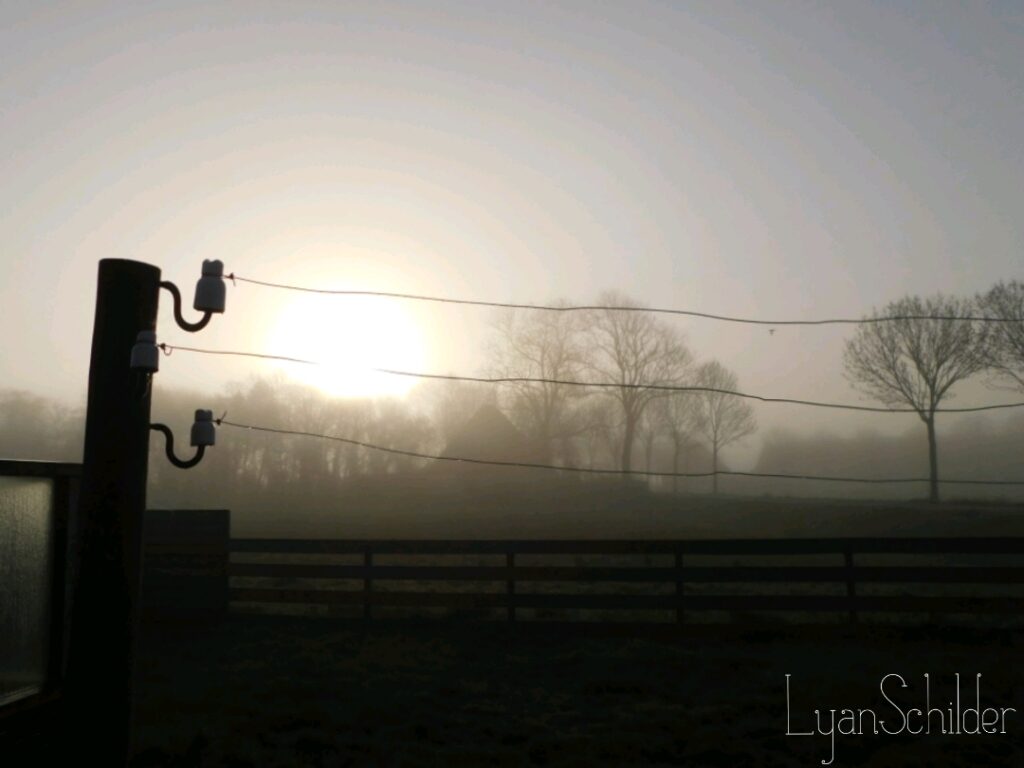 Fotografie Lyan Schilder