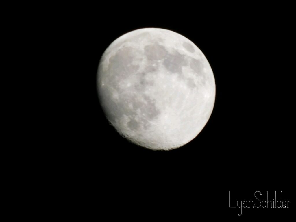 Fotografie Lyan Schilder