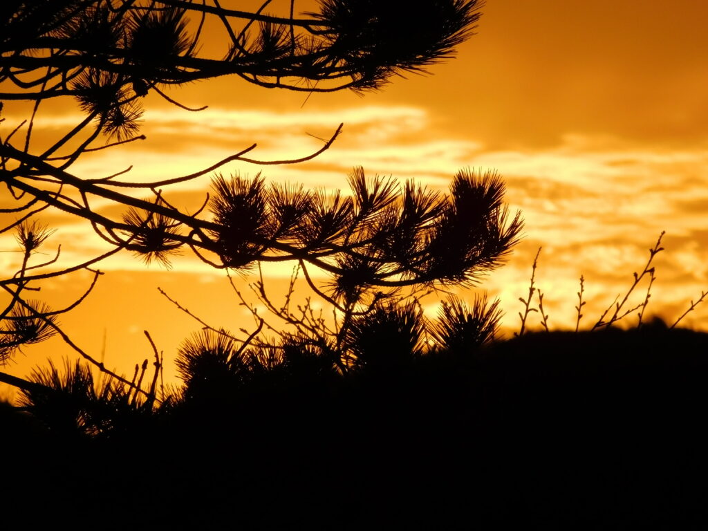 Fotografie Lyan Schilder